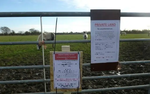 unauthorised horses grazing