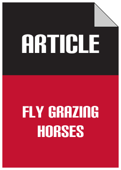 Remove Horses Nottingham case study